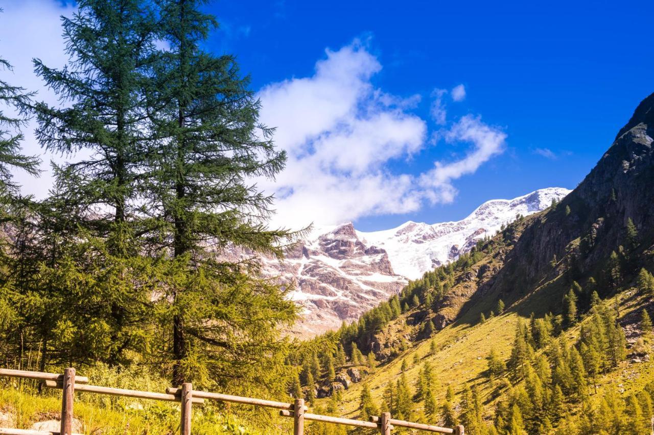 Alta Luce Mountain Lodge Грессоне-Ла-Триніте Екстер'єр фото